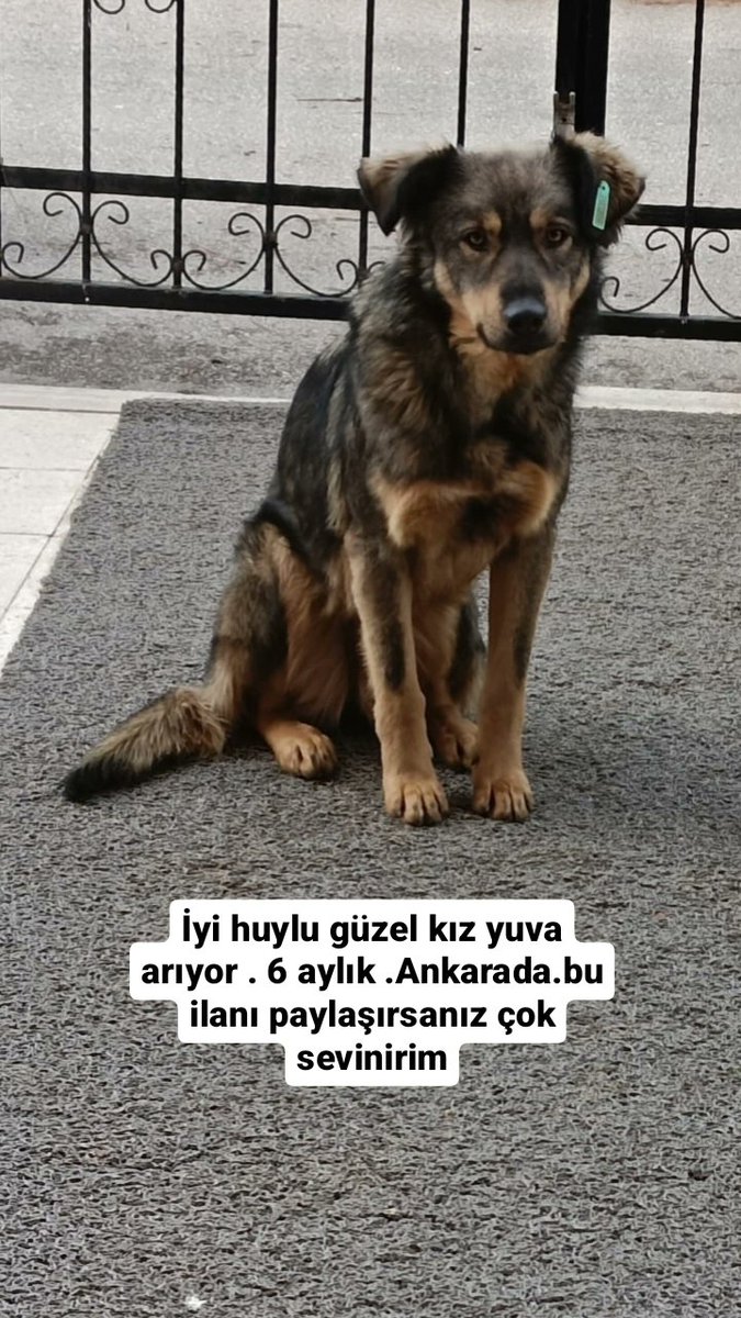 burçin ünal 🎨🏳️‍🌈 (@burcinunal_) on Twitter photo 