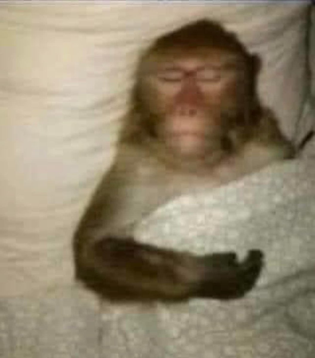 gliterings's tweet photo. “i’m just resting my eyes”   

me actually passing out 5 min later https://t.co/4HbxLz2Ts3