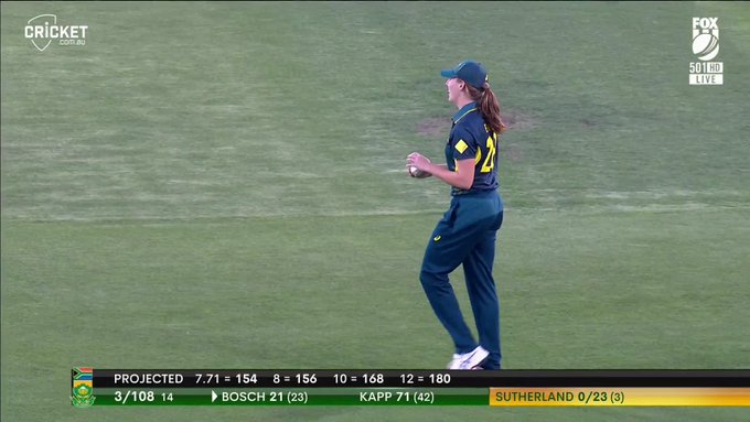 Straight into the hands... 📹 Credits: Twitter/cricketcomau