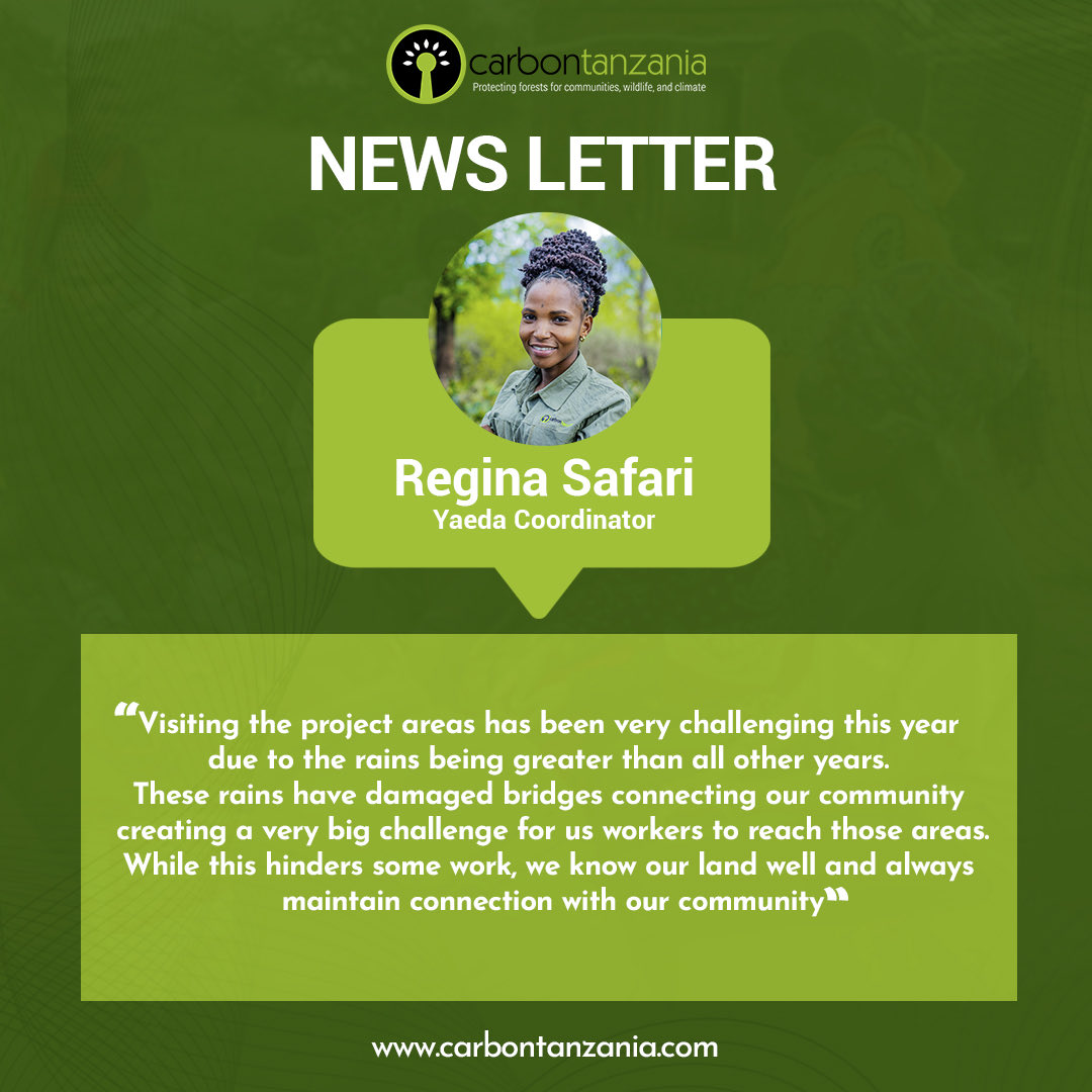 CarbonTanzania's tweet photo. We are excited to announce the release of our January newsletter! Indulge in discovering the amazing progress of our projects and don't forget to subscribe! https://t.co/iy3SRITJX1
#carbontanzania #newsletter #januarynewsletter #community #project #climatechange https://t.co/tYwROh3yo5