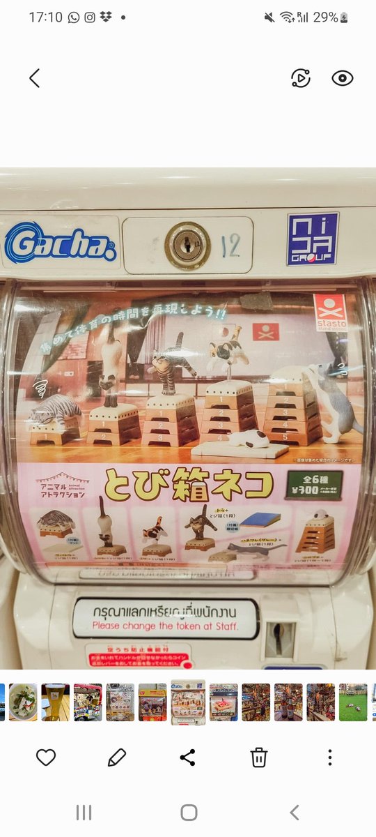 GachaponWorld's tweet photo. Spring into action &amp; grab this 'Jumping Box cat' gachapon.
#CatsOfTwitter #cats #Japan #Japanese  #gacha #neko #猫  #gachaponphotography #gacha  #bandainamco #gashaponjapan #toys #gachapong #gach #ガシャポン #ガチャポン https://t.co/p6XsCQnmnE