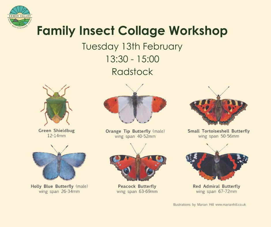 Family Insect Collage Workshop with @hill_marian 🐞 Book here: eventbrite.co.uk/e/family-insec…