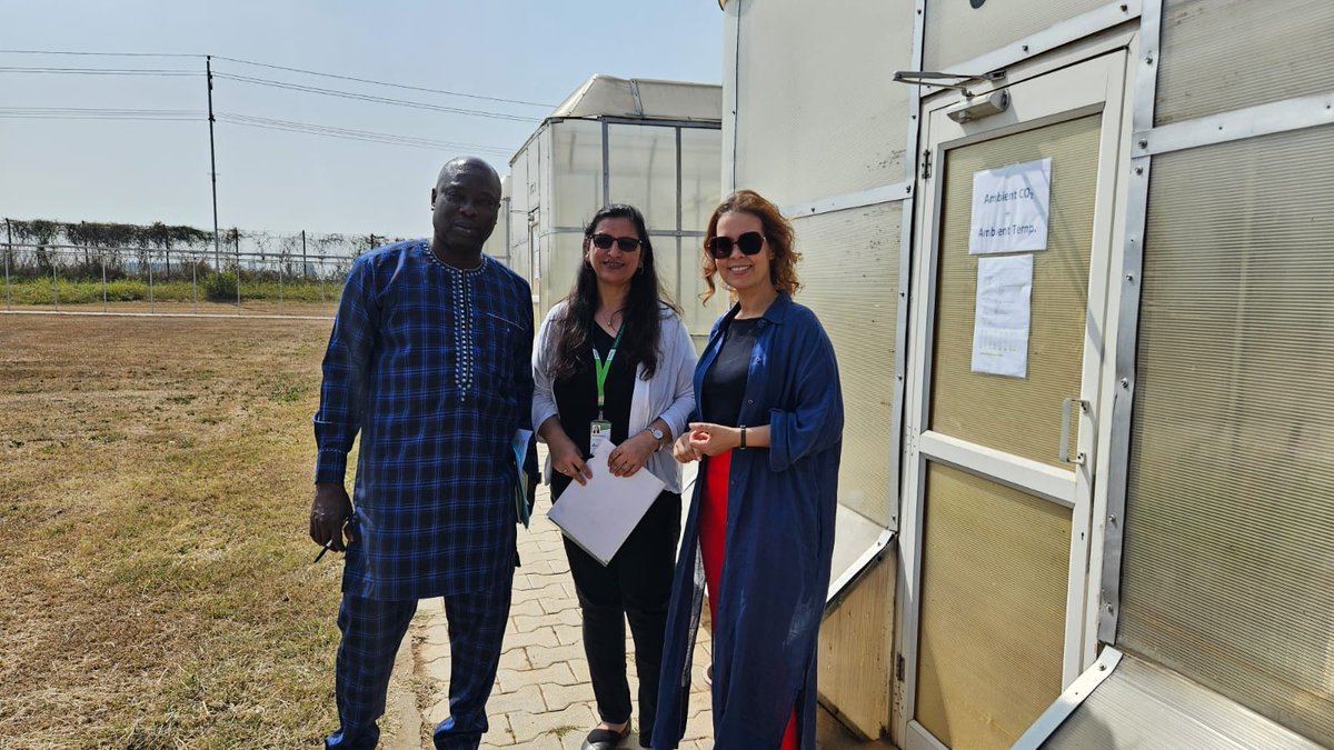 🌡🔎🌱Simulating the future impacts of climate change (CO2 + Temp) on plant health and productivity. Thank you @MamtaSharta_1 and <a href="/ICRISAT/">ICRISAT</a> colleagues for sharing your impressive and important research. (2/N)
#ClimateChange #PlantDisease
