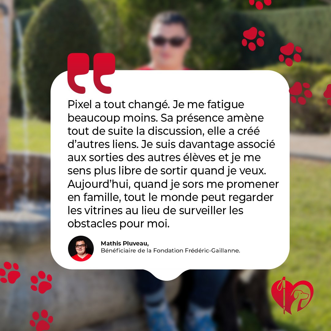 Découvrez le #témoignage de Mathis qui malgré son handicap visuel intègre une section communication visuelle pour devenir infographiste ! 👁‍🗨
Grâce à la @‌Fonction Frédéric Gaillanne, Mathis bénéficie de Pixel, un chien guide lui permettant de se déplacer en toute autonomie. 🐕