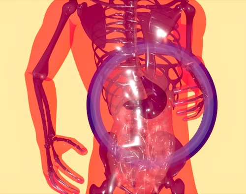 LIDSEN_Publish's tweet photo. #LIDSEN #OBMTransplantation
Special Issue from Open for Submissions:
📗What do Clinicians Need to Know about Liver Transplantation?
🔆Guest edited by Nourhan Badwei, MD & Ahmet Gurakar, MD
🔗https://t.co/PEMZ7iIRWg
#Liver #Transplantation https://t.co/6EmMtG82IB