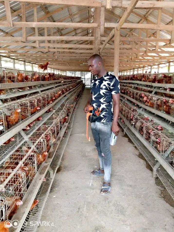 Nigeria battery cages in chicken farm🐣📷 
#chickencage #batterycage #poultrycage #poultryfarmequipment #SuccessStory #chickenequipment #chickenfarm #chickenfarming #chickenfarm #automaticequipment #chickenhouse #poultryfarm #poultryfarming #FutureFarming #poultrybusiness