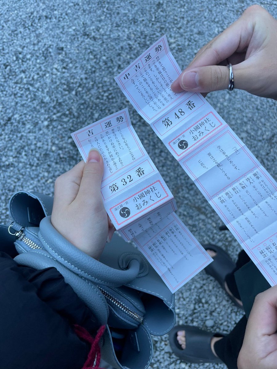 大変遅ればせながらのあけおめ
数年ぶりのおみくじにしては何とも言えない過ぎた