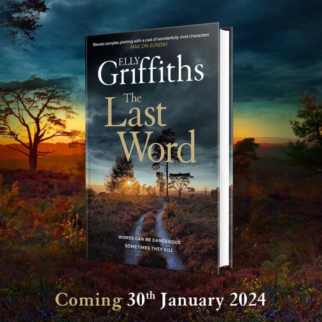 The Last Word is out today! It’s not my last word but it is my 30th crime novel. Do hope you enjoy it 😊