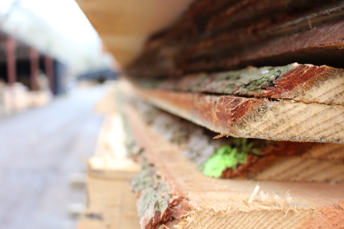 If you need rustic waney edge timbers for garden projects this summer then we have lots available!
Contact the office for full details and prices 01497 831656

#sawmill #logs #logging #saw #forestry #UKforestry #timber #timbermill #milling #wood #woodworking #timberframing