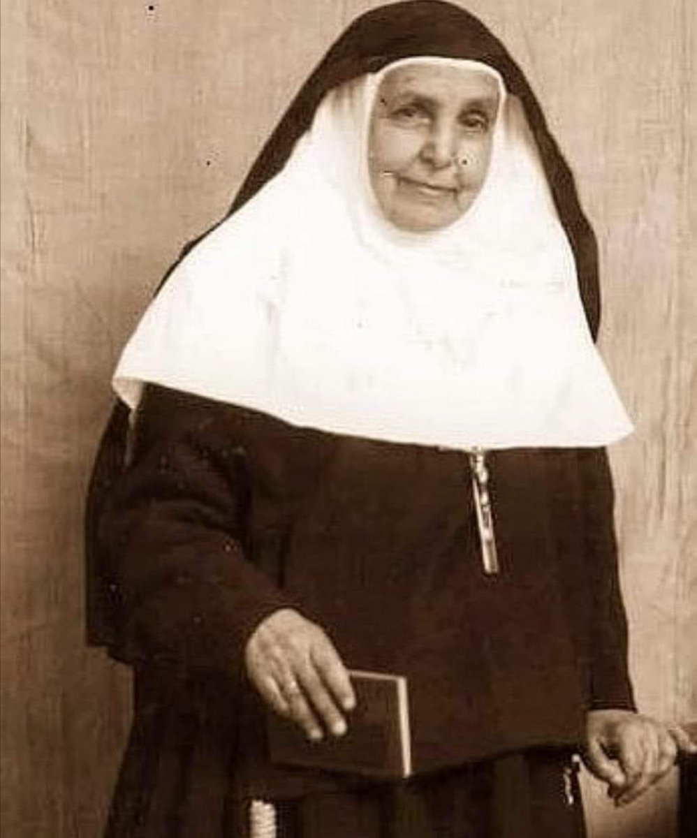 El Cicerone de Sevilla tweet media