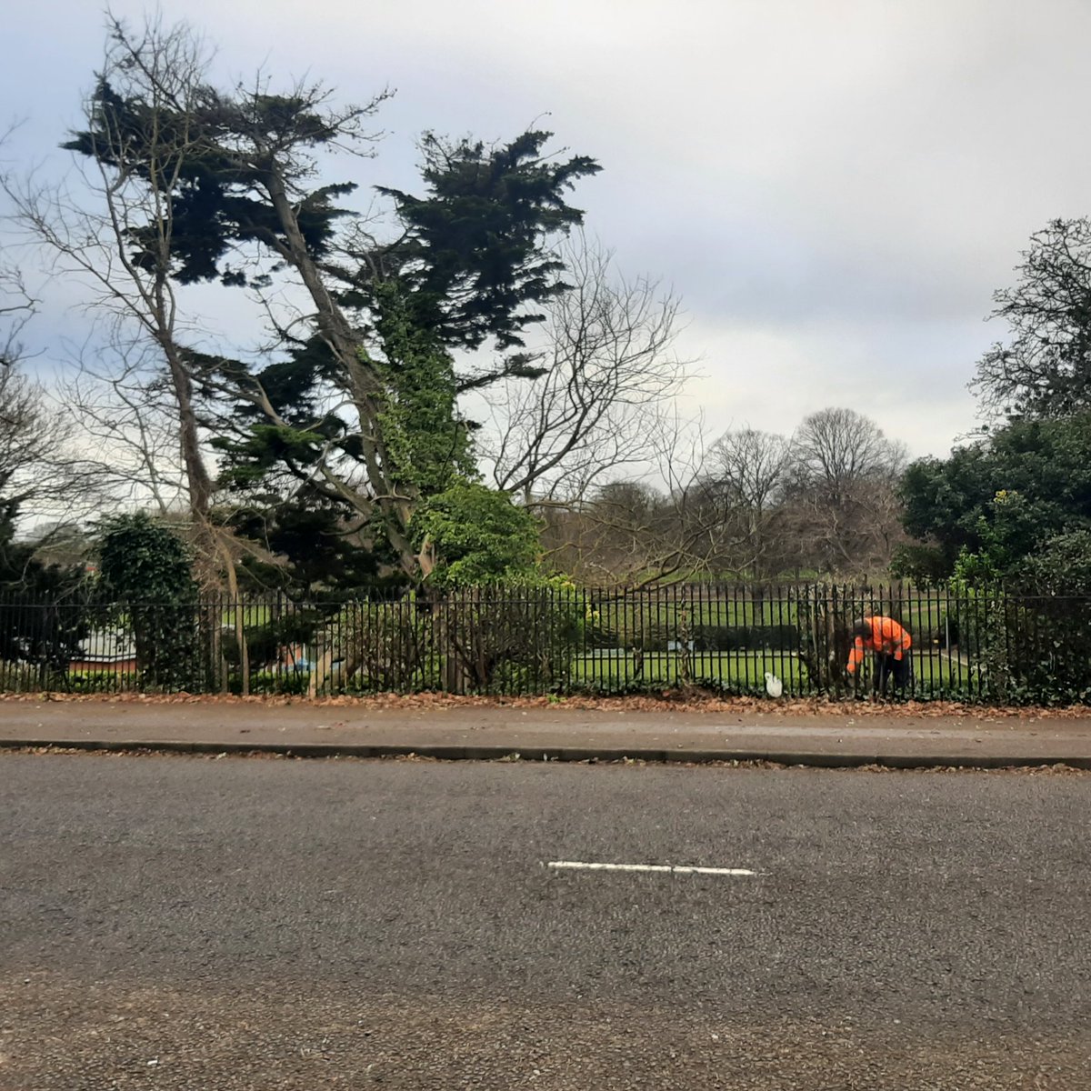 It's 2024, I thought we might be past this policy of generalised habitat destruction.  <a href="/ThanetCouncil/">.</a>, why are you doing this to Dane Park?
