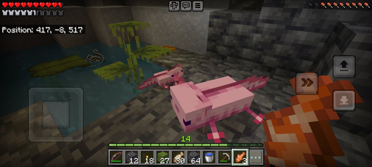 DrFlint_'s tweet photo. วันก่อนสร้างบ้าน วันนี้มารับเลี้ยงสัตว์ตัวน้อย
#minecraftth #มายคราฟ #minecraft https://t.co/agAeGKRPLs