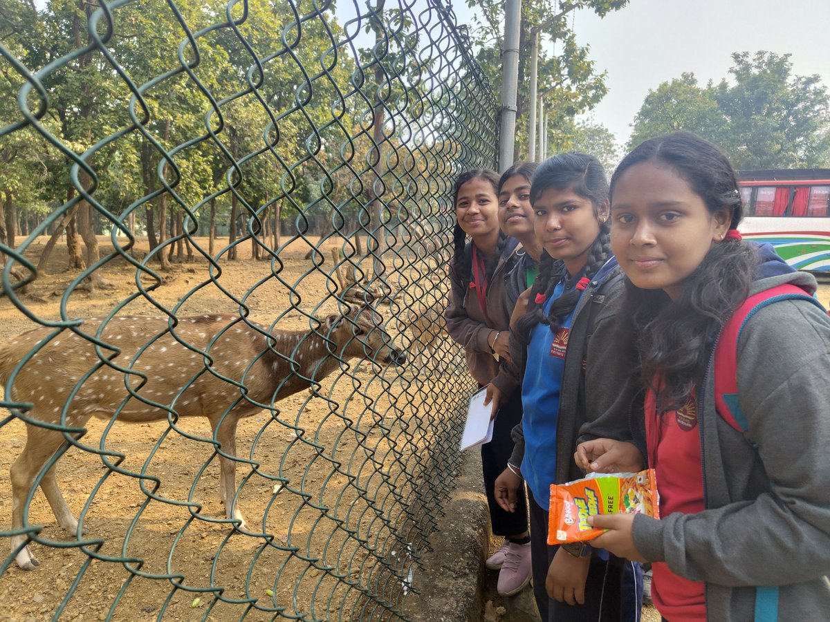 kvtatanagar's tweet image. Excursion trip to Dalma wild life sanctuary  under Eco club by students of class 9 of pmshri Kv Tatanagar today  #knowyourenvironment .
@KVS_HQ 
@EduMinOfIndia 
@KendriyaRanchi 
@DCEastSinghbhum 
@MinistryofEd