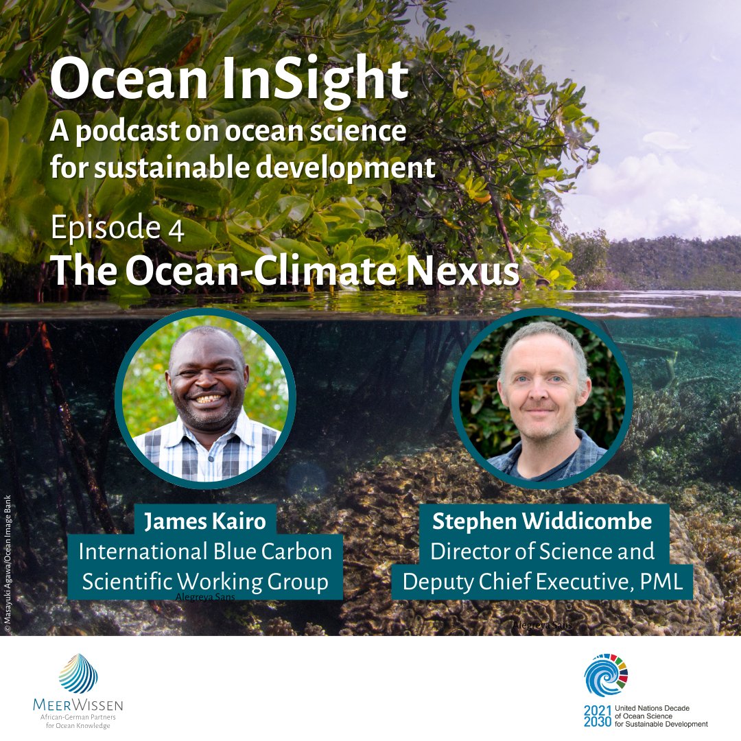 giz_gmbh's tweet photo. 🎧🎙️Did# COP28 recognise the special role of oceans in fighting climate change? Dive into the latest #OceanInSight podcast episode to learn more 🌊: https://t.co/JuRIGvgXWI @james_kairo @steve_swi @UNOceanDecade https://t.co/GeqTy1uSJh
