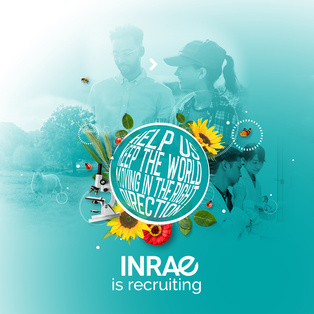 🚀 INRAE is hiring researchers (F/M) ! Profile: Early-career Researcher (F/M), Ph.D. holder, with publications💼 📌 Key dates: Opening on January 30, closing on March 5 Find all job offers 🌐 url.inrae.fr/3S4Vznd Join us! 🌍✨