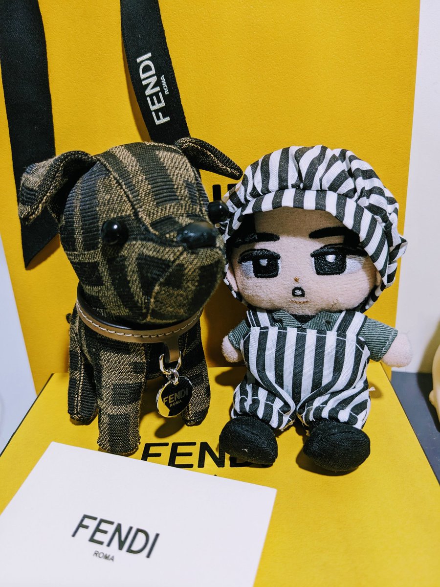 firth's tweet image. Finally got the めめ FENDI wan-chan home, and can't help taking tons of photos. Felt like a mom.😇
