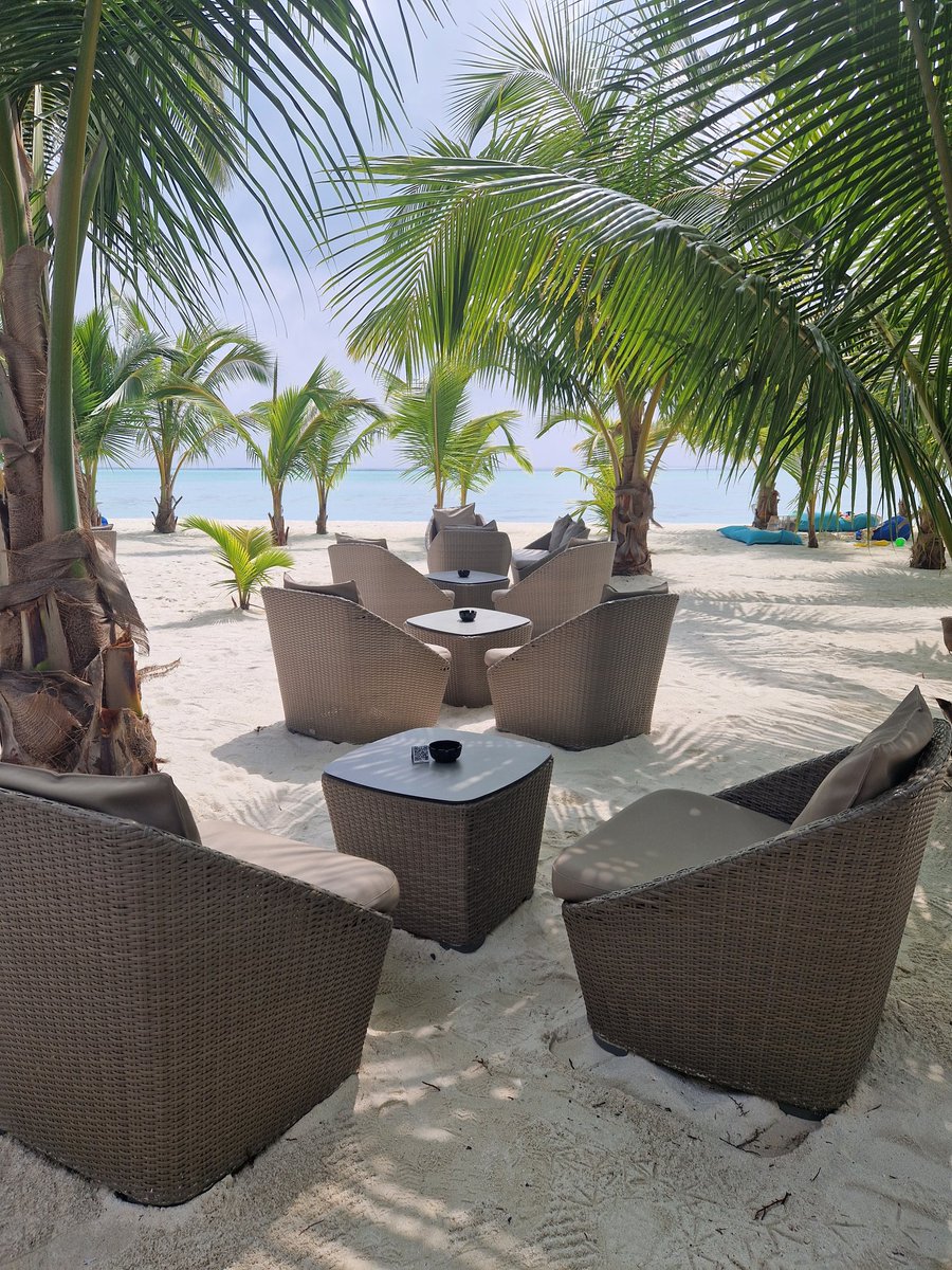liviki99's tweet image. I wanted to write about impossible is nothing and never give up on what you want but honestly, words are missing to describe how happy I am and what I feel......so I just send you all a big hug from Dhaalu Atolls 🏝🏖💛
#Maldives #Paradise #sohappy