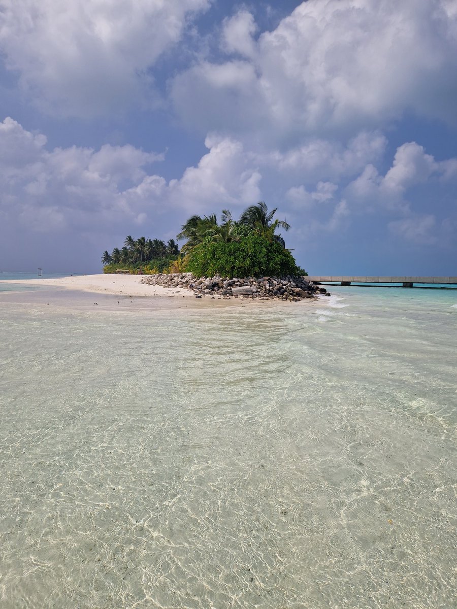 liviki99's tweet image. I wanted to write about impossible is nothing and never give up on what you want but honestly, words are missing to describe how happy I am and what I feel......so I just send you all a big hug from Dhaalu Atolls 🏝🏖💛
#Maldives #Paradise #sohappy