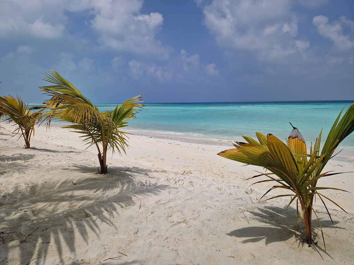 liviki99's tweet image. I wanted to write about impossible is nothing and never give up on what you want but honestly, words are missing to describe how happy I am and what I feel......so I just send you all a big hug from Dhaalu Atolls 🏝🏖💛
#Maldives #Paradise #sohappy