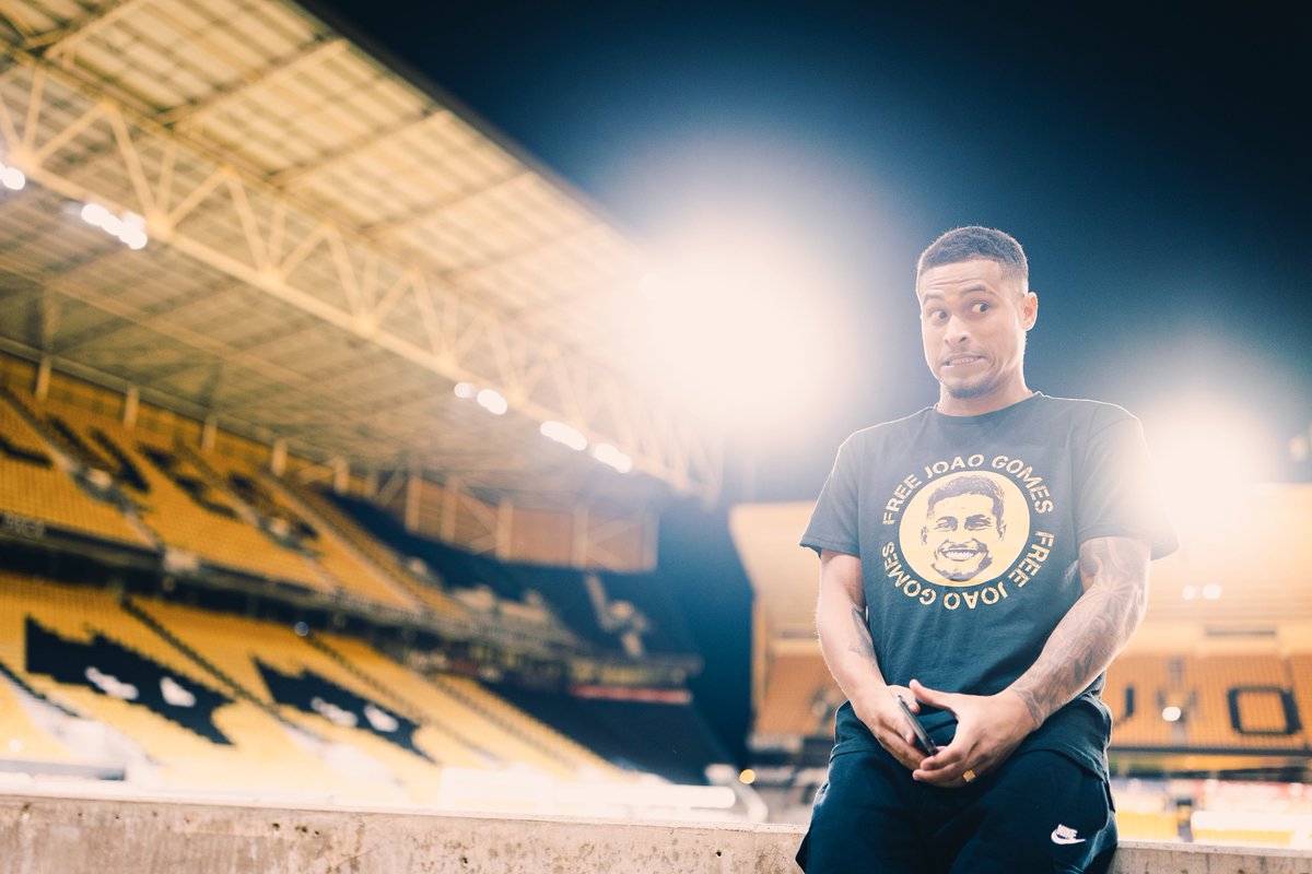 Wolves tweet media