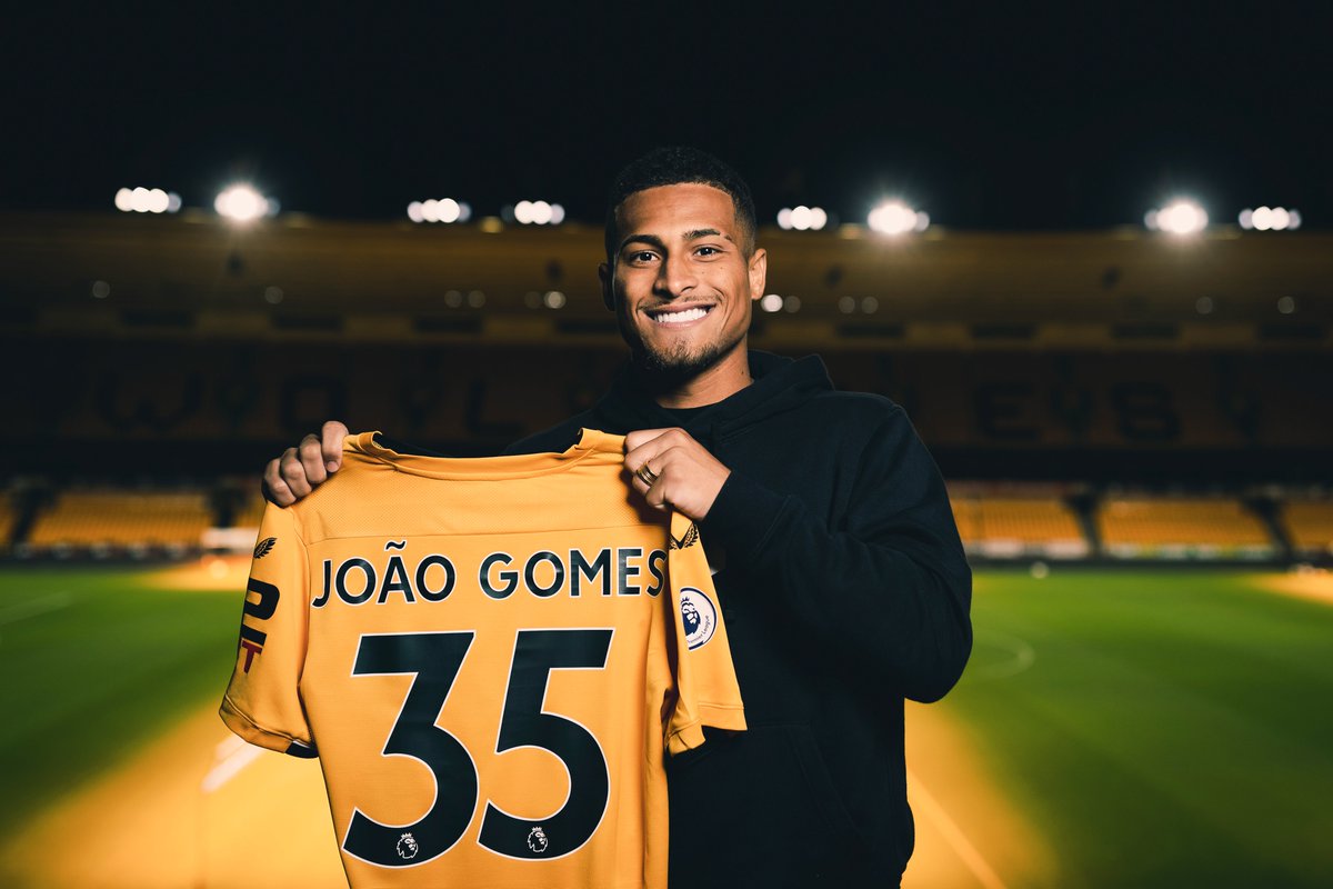 Wolves tweet media