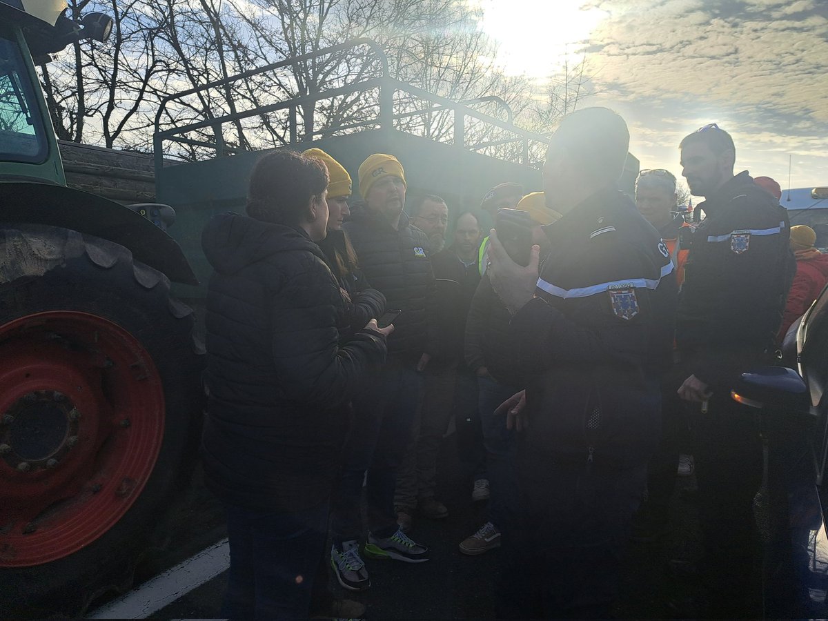 Elodie Viguier tweet media