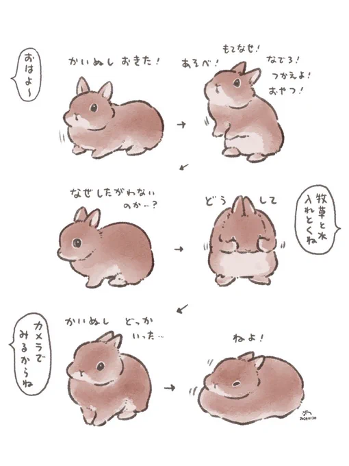 うさぎさんに従えない朝なんて 