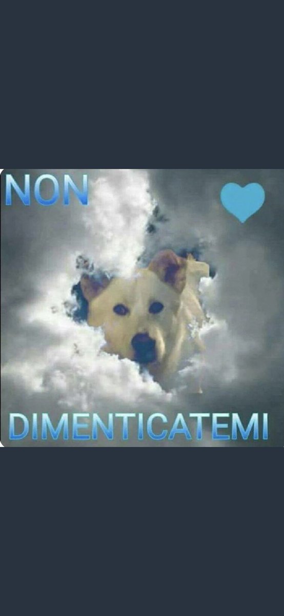 SHERONMEGAN12's tweet photo. @Emilystellaemi2 #MAIIII #TI #DIMENTICHERÒ ❤️❤️❤️😘😘😘🌼🌼😭😭😭 https://t.co/S9j6P2JB7n