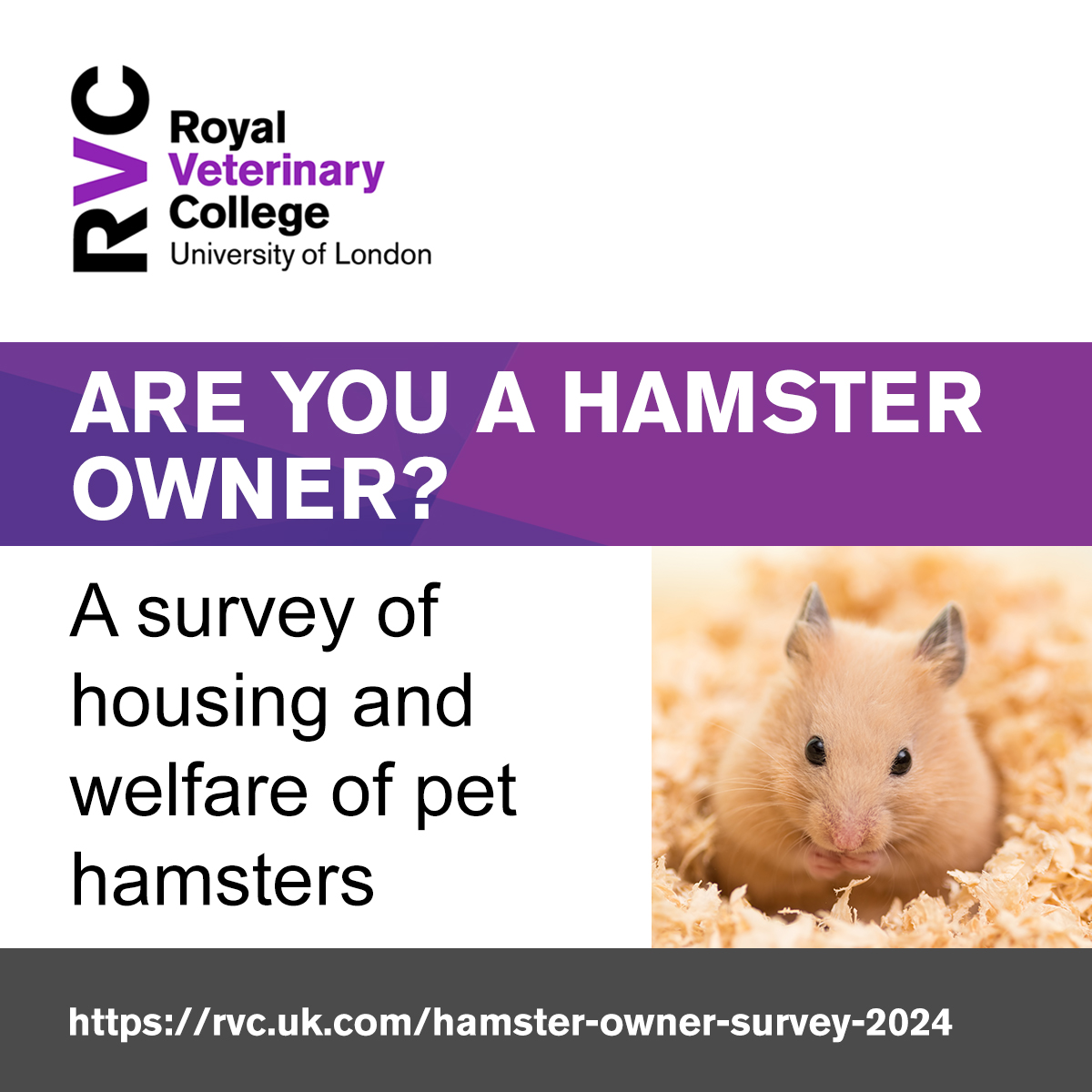 🐹 If you own a hamster in the UK (over 18s or parents/guardians only), we would like to hear from you. We are researching the association between the housing conditions, care of pet hamsters and their body condition and behaviour. ➡️ Survey: rvc.uk.com/hamster-owner-…