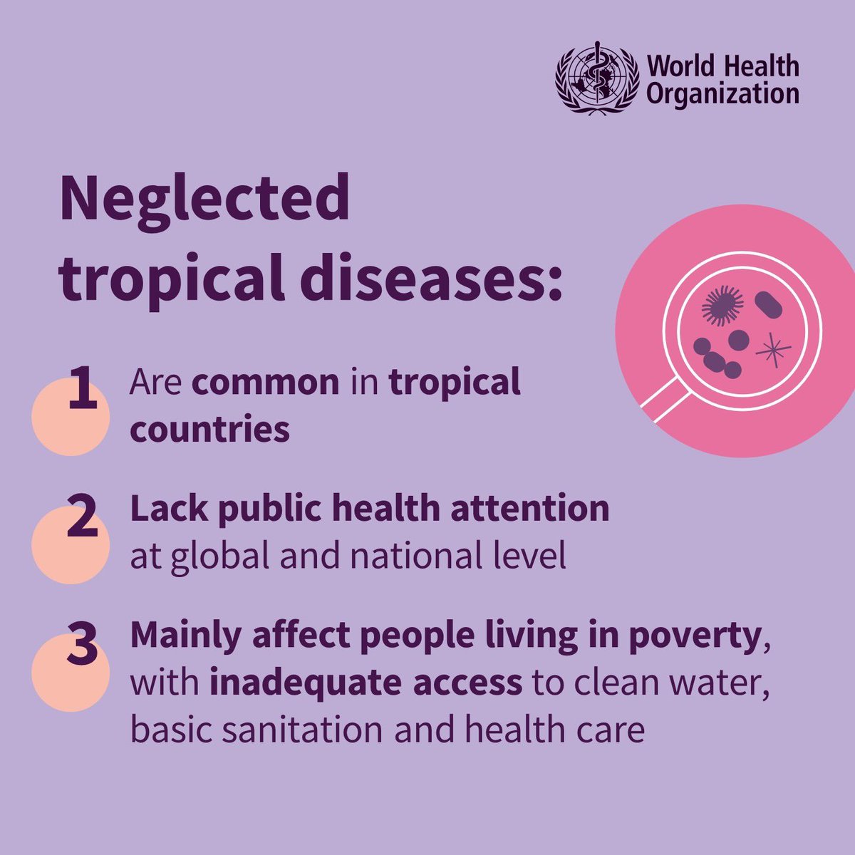 Africa has made significant progress in the fight against Neglected Tropical Diseases #NTDs, with 10 countries eliminating at least one NTD. But the burden remains high.

On this #WorldNTDDay, let us commit to accelerate investment and actions to #BeatNTDs.

#UniteActEliminate