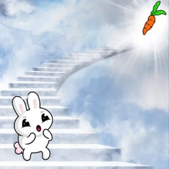 Buckonsol's tweet photo. @W0LF0FCRYPT0 $BUCK the mascot of $GME is back https://t.co/4aBhEFRWY7