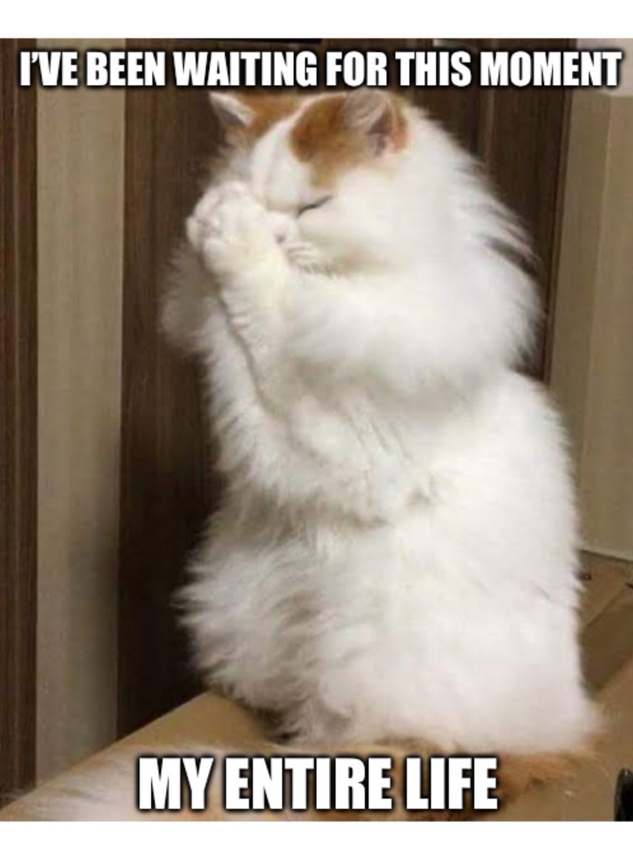 ebisu_ranpo's tweet photo. @axelsyrios https://t.co/nNvDy2q0az