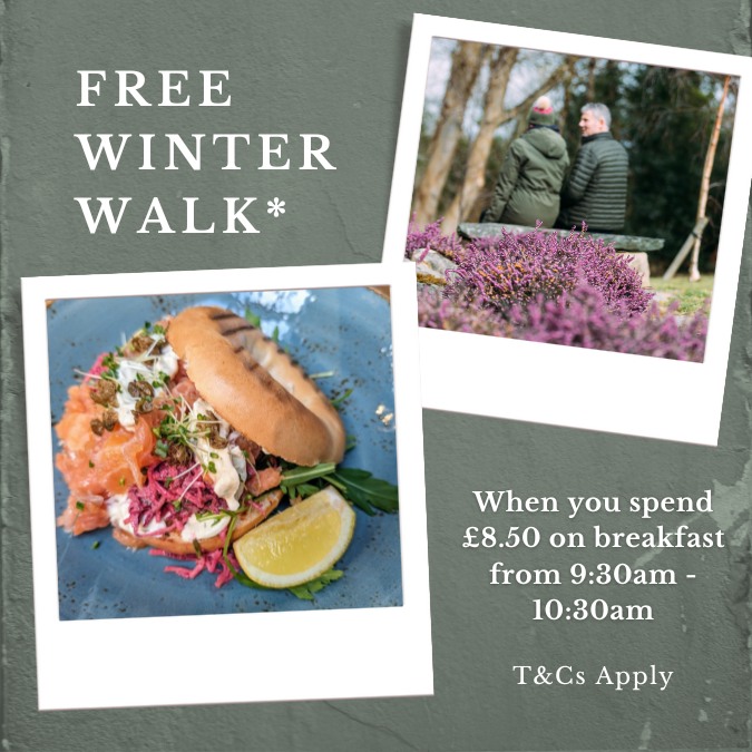 Free Winter Walk Offer*

Spend £8.50 on breakfast in The Café between 09:30 – 10:30 and enjoy a free admission into  Gardens.

Members receive free tea/coffee under same offer.

Mon – Fri. T&amp;C Apply. Limited time offer. See website for details.
#trekni #VisitMourne #visitbelfast