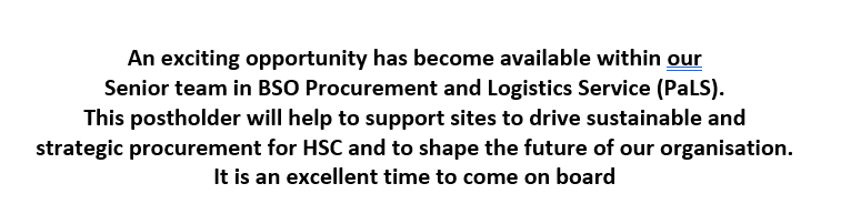 BSO_PaLS tweet media