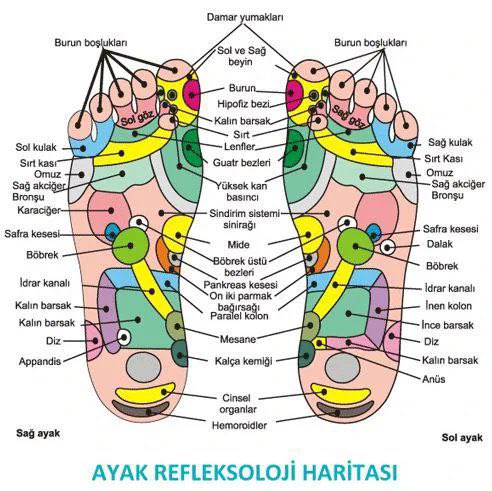 necdetmese's tweet photo. @hakikatbilgisi @haciosmanoglue @ErkanTrukten @aliosmanonder34 @cetinlimonboy @burak_turna @ekonomibursa @ufukcoskunn @enderbozkurt @zarifbalci @Semamarasli @SerpilOzkan99 Sağlık bakanlığı Topuk Kanı işine el atmış, genelge yayınlamış! Üstelik yasalara aykırı ama Polisi ve savcılıkları göreve çağırıyor! Nedir bu kadar önemli olan? Bu kadar olmazsa olmaz olan nedir?Bu kanlar nereye gidiyor, birileri bilmediğimiz bir sebepten kullanıyor olabilirmi? https://t.co/lIqWE9O6x2
