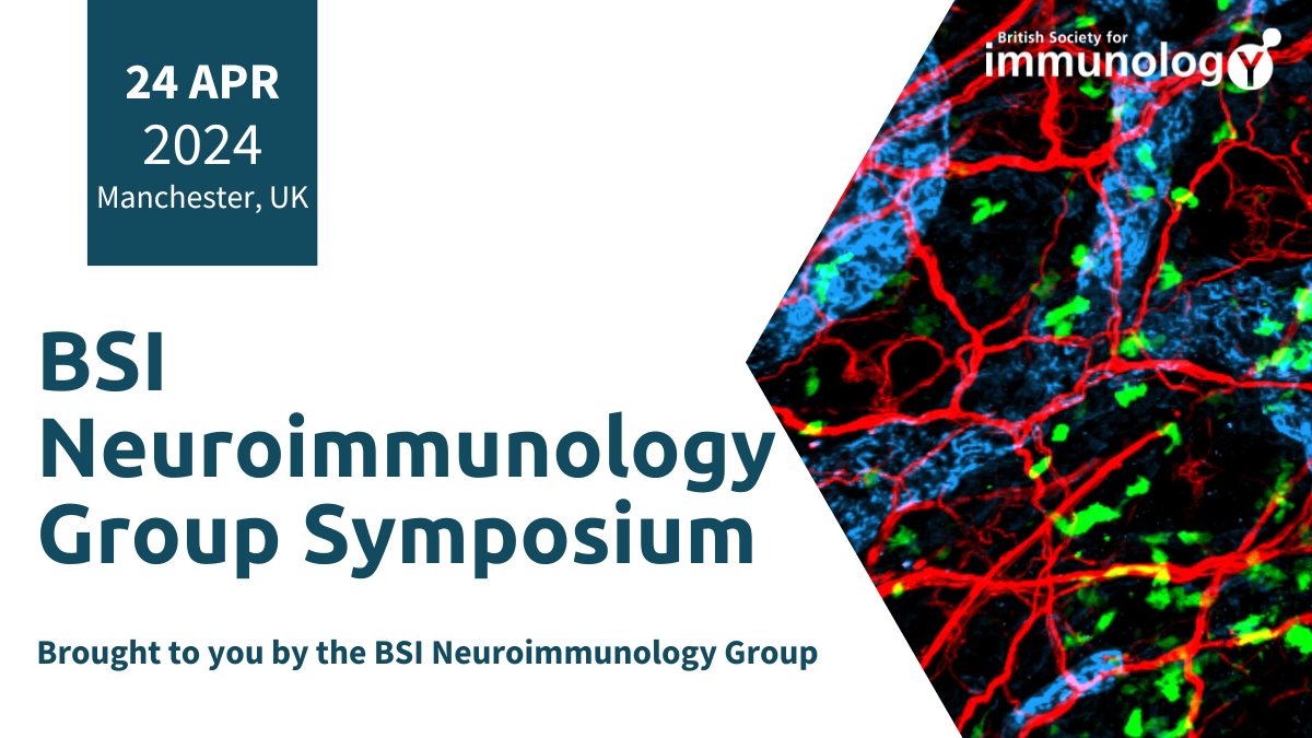 BSI Congress & Events tweet media