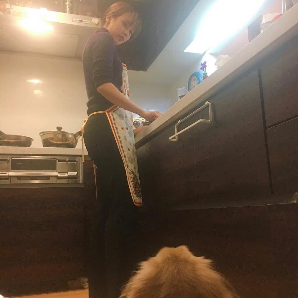 DangerousDubu's tweet photo. RIP Ray Myoi 🐶💔 Thank you, Ray-chan, for bringing so much joy & love to Mina & her family 💗
#TWICE #트와이스 #MINA #미나 #RAY #레이 #RayChan #레이짱 #RayMyoi #레이묘이 #MyoiRay #묘이레이 https://t.co/D0ejxDWpos