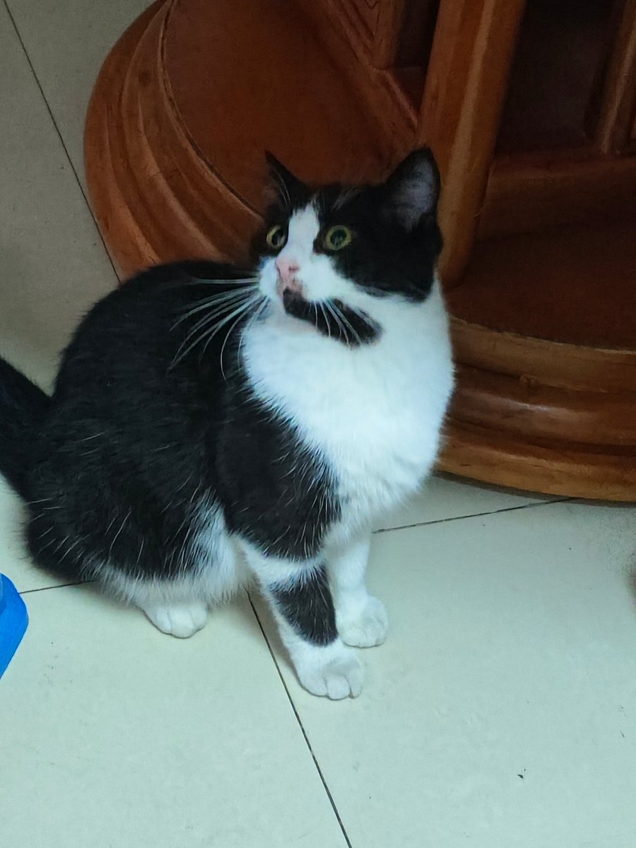 我不是变态 tweet media