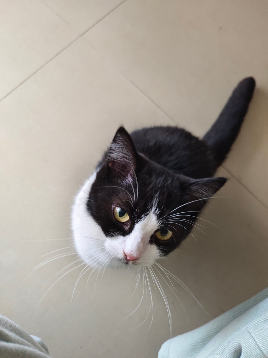 我不是变态 tweet media