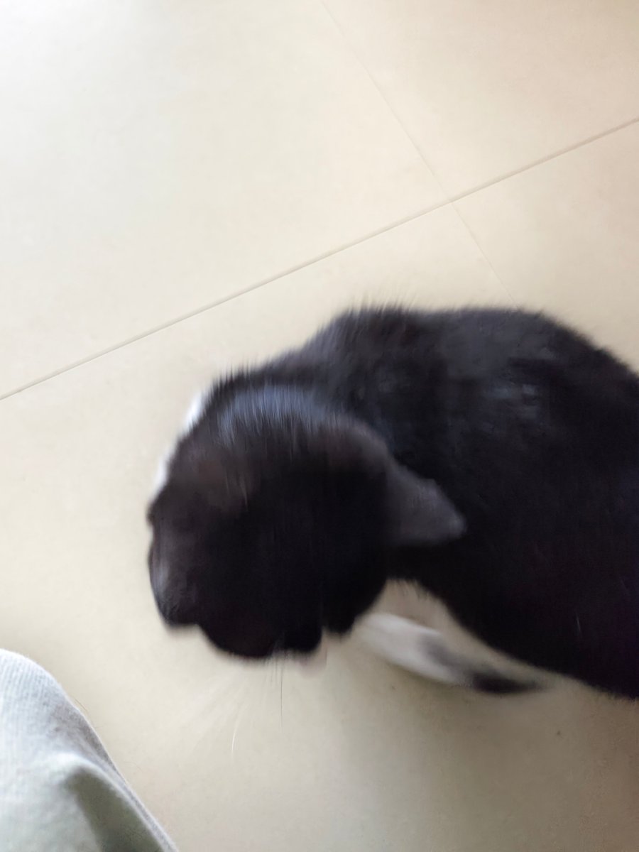 我不是变态 tweet media