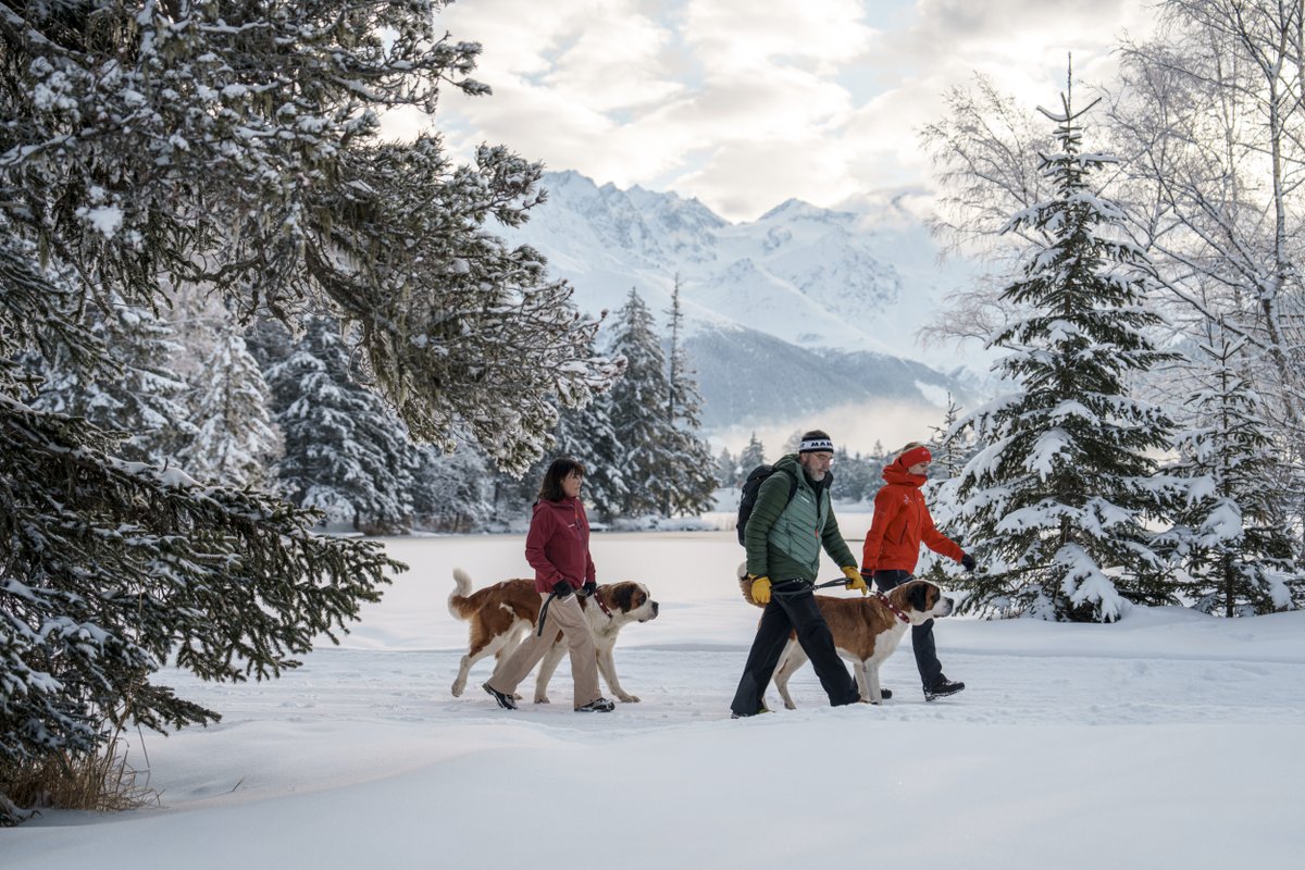 STCorpComm's tweet photo. Lust auf eine etwas andere ❄️ #Winterwanderung? In #ChampexLac sind #Wanderungen 🥾 mit #Bernhardinerhunden 🐶 noch bis zum 25. Februar möglich 🐾 https://t.co/7WujJIDn2N @valaiswallis #IneedSwitzerland🇨🇭@PaysduStBernard #MyPSB https://t.co/sU18tegLiu