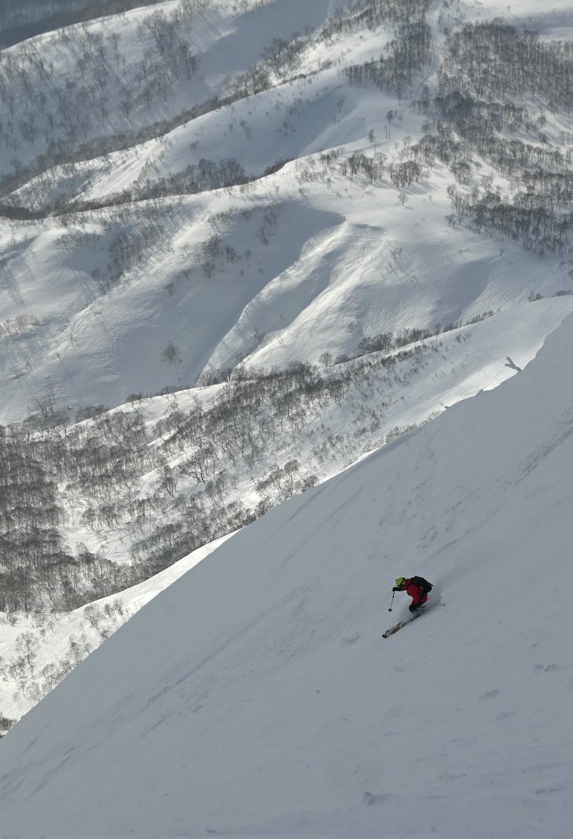 Lovely turns at Niseko United today