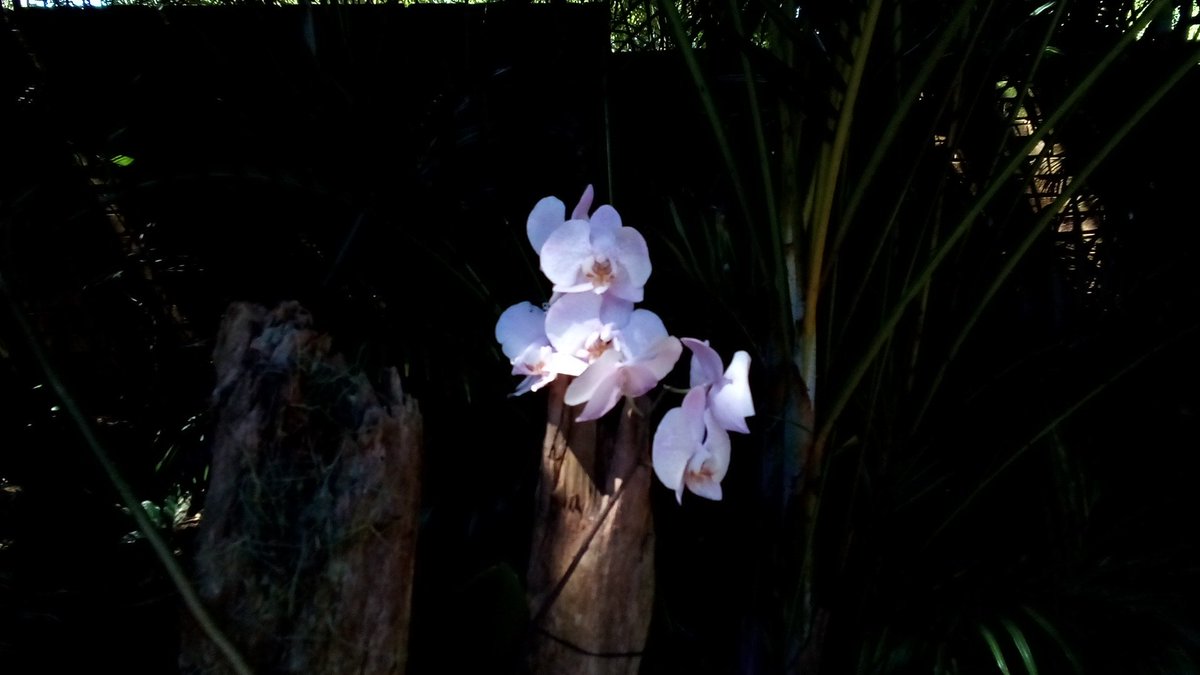 info4u2use's tweet image. So what are #KnowkedgeGraphs #LinkGraphs and #LinkTables ? These are tools used by search engines to evaluate the #semanticConnectedness of your #OnLineContent .. how do you populate these tables with your own intended data for end users ?!
Thanx to @TheodoraPetkova