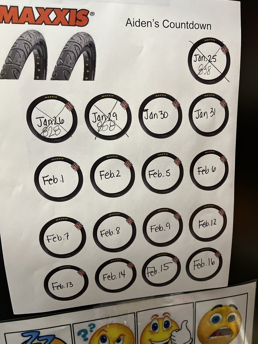 Katie Munn tweet media