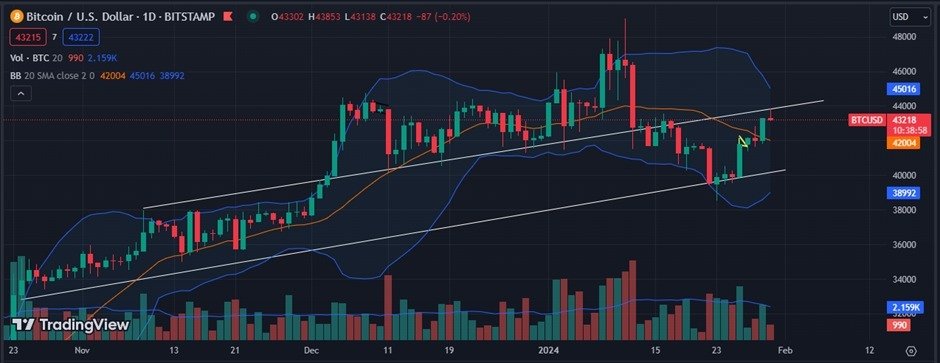 Layla_trade's tweet photo. Current Situation: #Bitcoin after testing the upper trendline of the ascending channel formation, near highs of 43853 has started showing minor corrections and currently hovers close to 43230.

Premium Group👇
https://t.co/nwaHixc2rF

#Xauusdgold #gold #forextrading https://t.co/othpQpdZtc