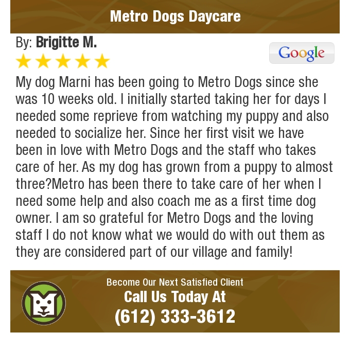 MetroDogsMN's tweet photo. 5 Star: Brigitte M. "My dog Marni has been going to Metro Dogs since she was 10 weeks..." https://t.co/NQp2NKBM3A https://t.co/UhAHOy6khv