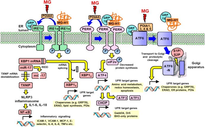 Glocentrica.com tweet media