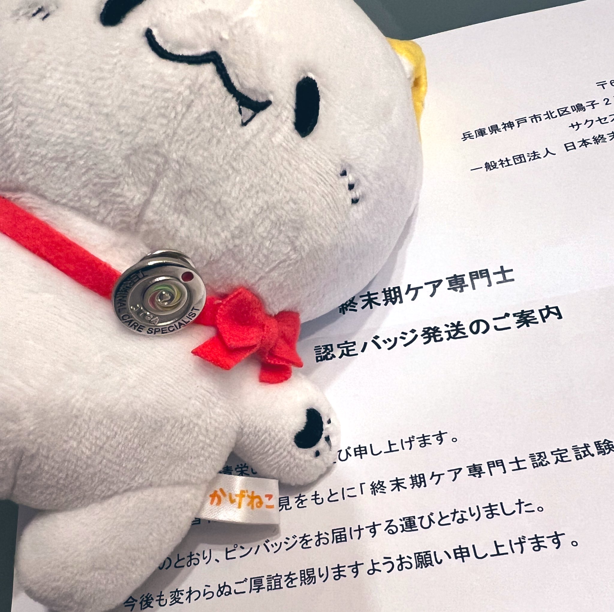 JNTEC バッジ箱入 JNTECバッジ箱付き【新品未使用】 - メルカリ
