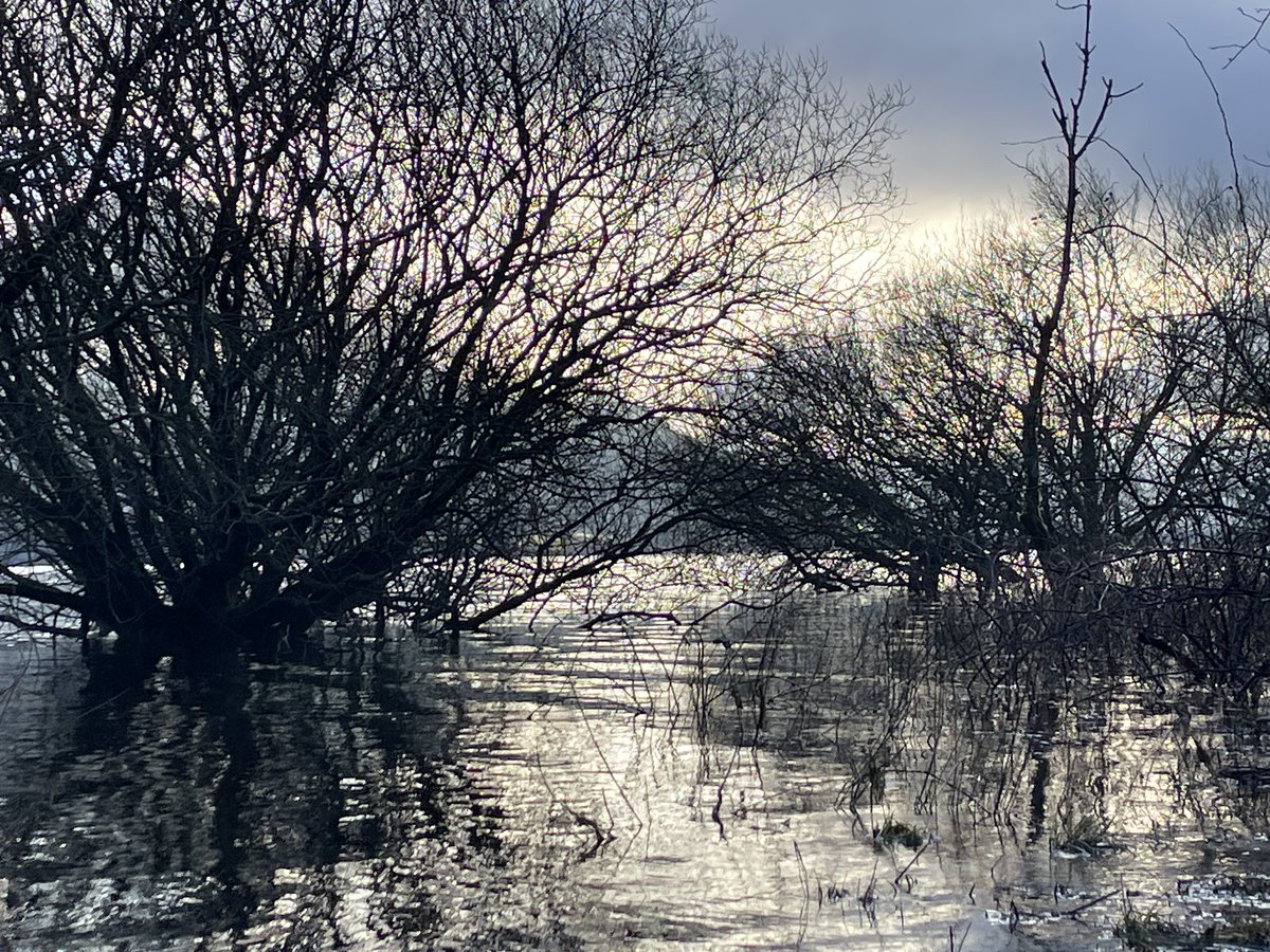 Driving in this morning, between Cockermouth and Keswick, Bas’ Lake.
.
Skiddaw is this morning wearing its winter coat from around 2,350ft.
.
Delicious 
.
#mountain #keswick #lakedistrict #Weather #snow #photograghy #landscapephotography #landscape
