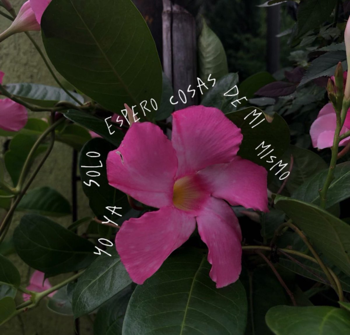 ❤️‍🩹❤️‍🩹